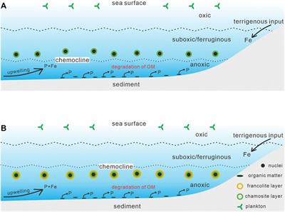 Middle Jurassic ooidal ironstones (southern Tibet): Formation processes and implications for the paleoceanography of eastern Neo-Tethys
